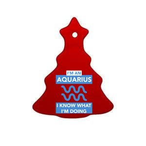 Birthday Aquarius Astrology Astrological Bday Gift Ceramic Tree Ornament