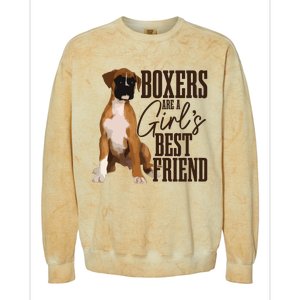 Boxers Are A Girl Best Friend Funny Dog Boxer Mom Colorblast Crewneck Sweatshirt