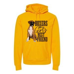 Boxers Are A Girl Best Friend Funny Dog Boxer Mom Premium Hoodie