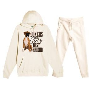 Boxers Are A Girl Best Friend Funny Dog Boxer Mom Premium Hooded Sweatsuit Set