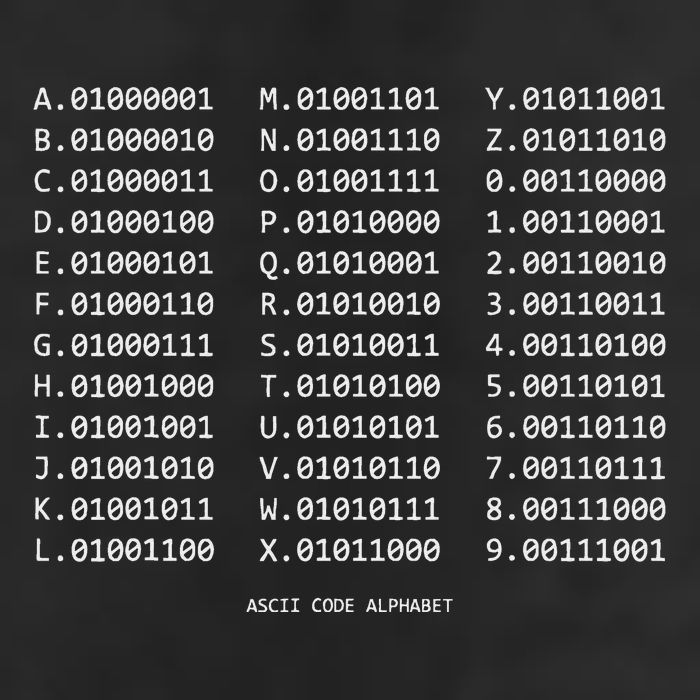 Binary Alphabet Abc + Numbers In Binary Code Adult Drive Performance Visor