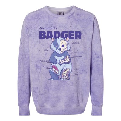 Badger Animal Anatomy Colorblast Crewneck Sweatshirt