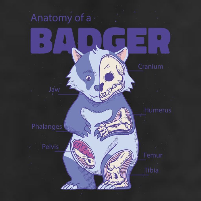 Badger Animal Anatomy Cool Comfort Performance Bucket Hat