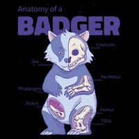 Badger Animal Anatomy Drawstring Bag