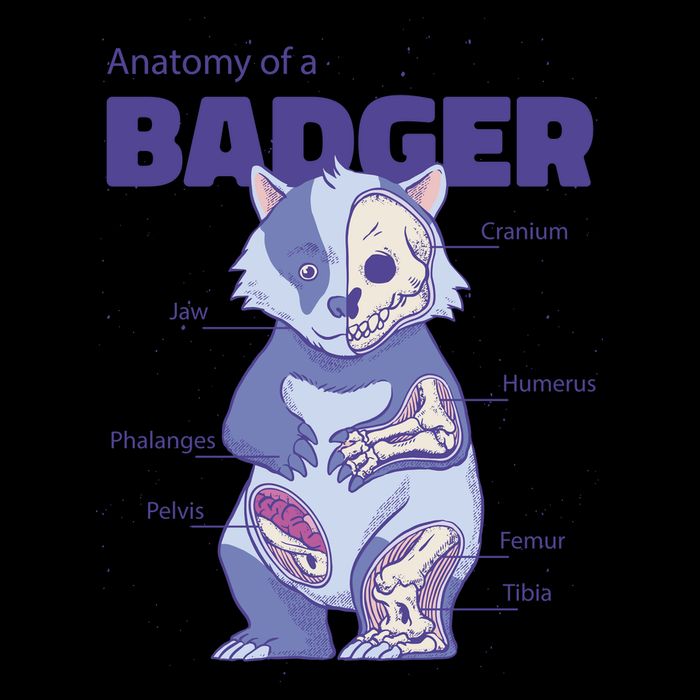 Badger Animal Anatomy Drawstring Bag