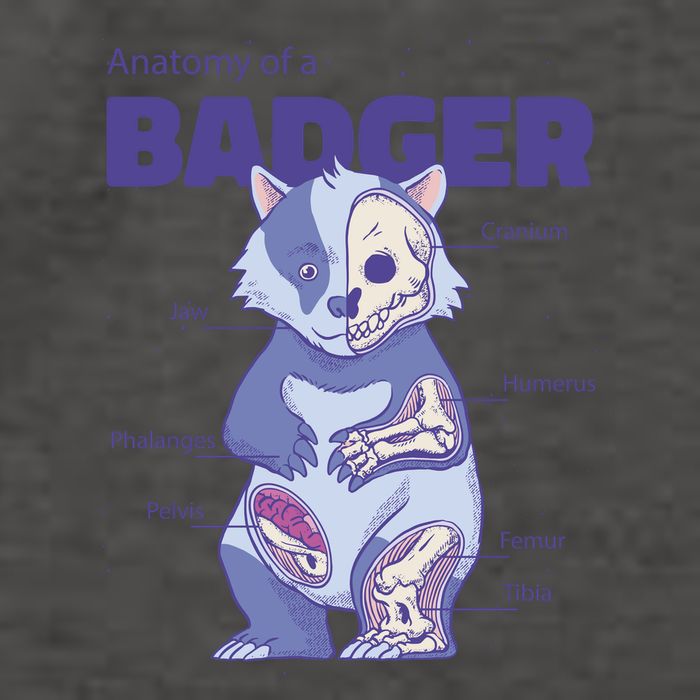 Badger Animal Anatomy Vector Backpack