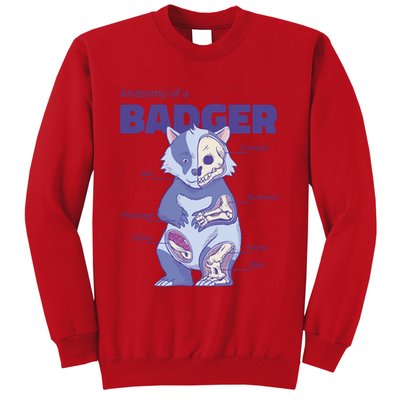 Badger Animal Anatomy Sweatshirt