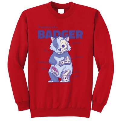 Badger Animal Anatomy Sweatshirt