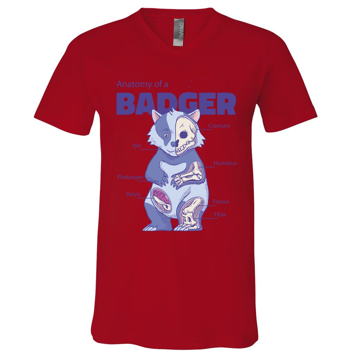 Badger Animal Anatomy V-Neck T-Shirt