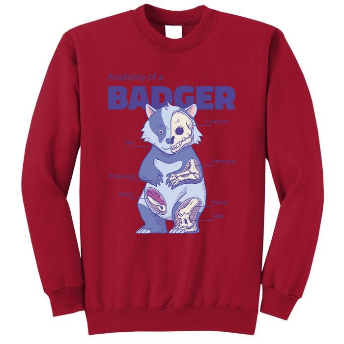 Badger Animal Anatomy Tall Sweatshirt