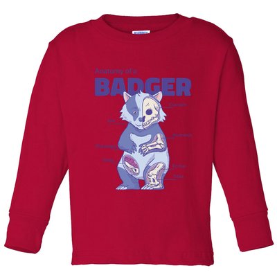 Badger Animal Anatomy Toddler Long Sleeve Shirt