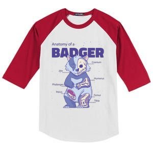 Badger Animal Anatomy Kids Colorblock Raglan Jersey