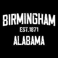 Birmingham Alabama Al Vintage Established Sports Design Toddler T-Shirt