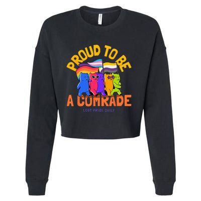 Being An Ally And Allyship LGBT Cropped Pullover Crew