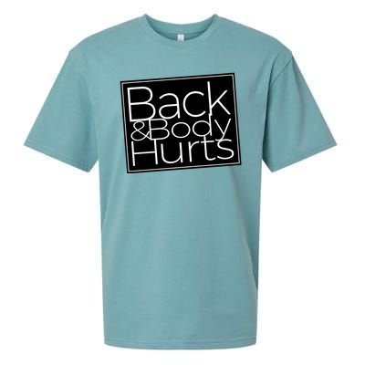 Back And Body Hurts Cool And Funny Workout Top Sueded Cloud Jersey T-Shirt