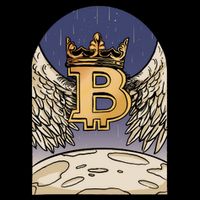 Bitcoin Angel Impact Tech Backpack