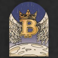 Bitcoin Angel Adult Drive Performance Visor