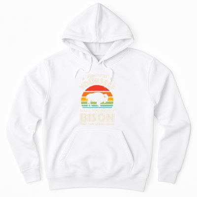 Bison Always Be Yourself Retro Vintage 70s Men Women Funny Hoodie