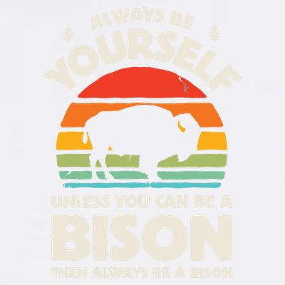 Bison Always Be Yourself Retro Vintage 70s Men Women Funny T-Shirt