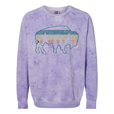 Bison American Buffalo Vintage National Park Souvenir Gift Colorblast Crewneck Sweatshirt