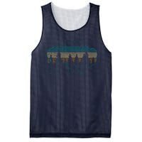 Bison American Buffalo Vintage National Park Souvenir Gift Mesh Reversible Basketball Jersey Tank