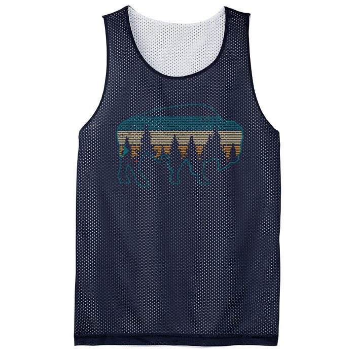 Bison American Buffalo Vintage National Park Souvenir Gift Mesh Reversible Basketball Jersey Tank