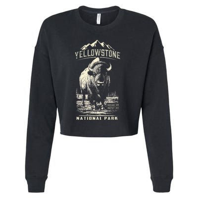 Buffalo American Bison Yellowstone National Park Cropped Pullover Crew