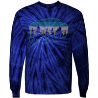 Bison American Buffalo Vintage National Park Souvenir Gift Tie-Dye Long Sleeve Shirt