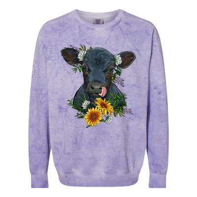 Black Angus Calf Cow Farm Animals Farmer Cow Farming Colorblast Crewneck Sweatshirt