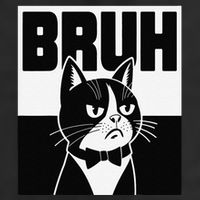 Bruh Angry Cat Funny Antisocial Hillarious Message Sarcasm 7 Panel Mesh Trucker Snapback Hat
