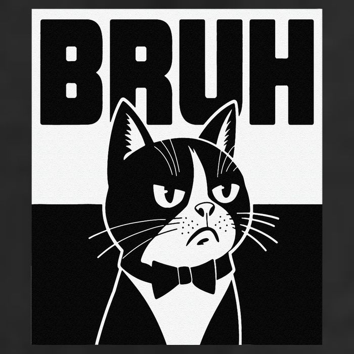 Bruh Angry Cat Funny Antisocial Hillarious Message Sarcasm 7 Panel Mesh Trucker Snapback Hat