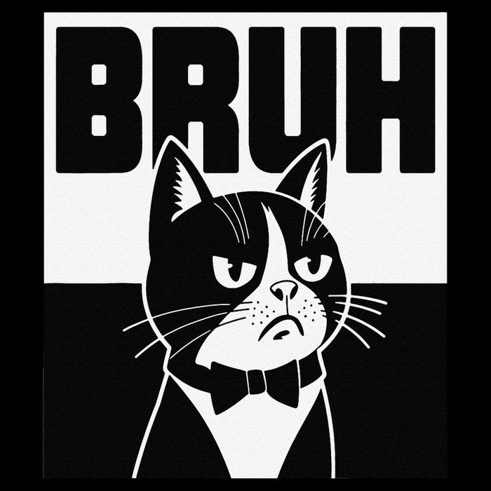 Bruh Angry Cat Funny Antisocial Hillarious Message Sarcasm Impact Tech Backpack