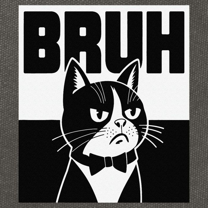 Bruh Angry Cat Funny Antisocial Hillarious Message Sarcasm Cotton Canvas Backpack