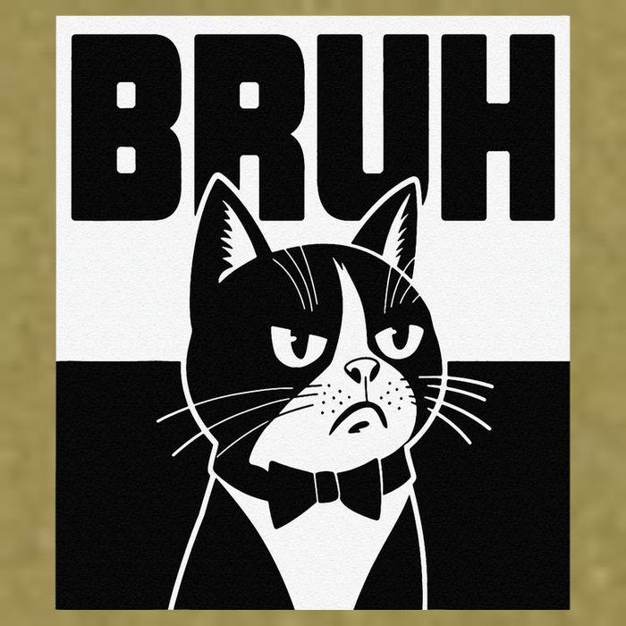 Bruh Angry Cat Funny Antisocial Hillarious Message Sarcasm Garment-Dyed Women's Muscle Tee