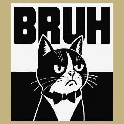 Bruh Angry Cat Funny Antisocial Hillarious Message Sarcasm T-Shirt