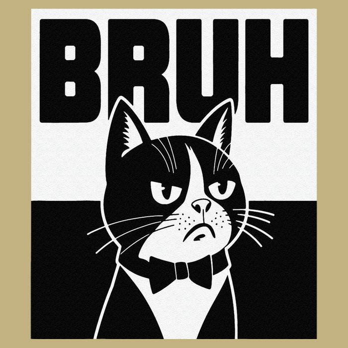 Bruh Angry Cat Funny Antisocial Hillarious Message Sarcasm Cooling Performance Long Sleeve Crew