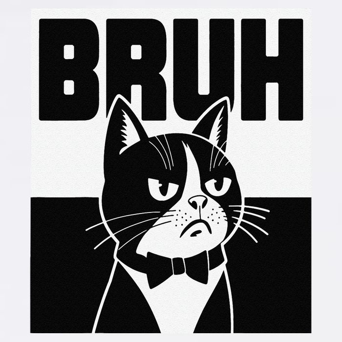 Bruh Angry Cat Funny Antisocial Hillarious Message Sarcasm Garment-Dyed Sweatshirt