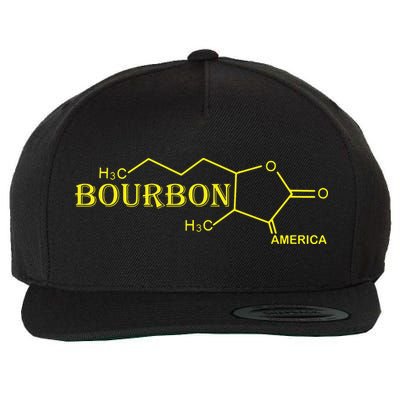 Bourbon America Chemistry Science Future Chemist For Men Mom Wool Snapback Cap