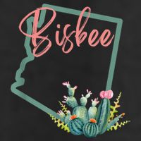 Bisbee Arizona Cacti State Souvenir 7 Panel Mesh Trucker Snapback Hat