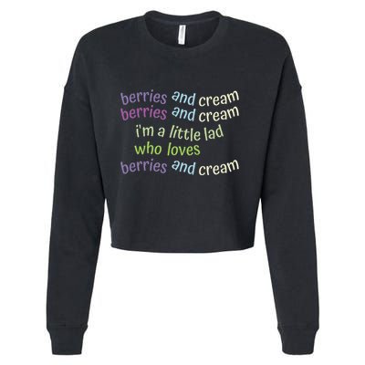Berries And Cream Cropped Pullover Crew