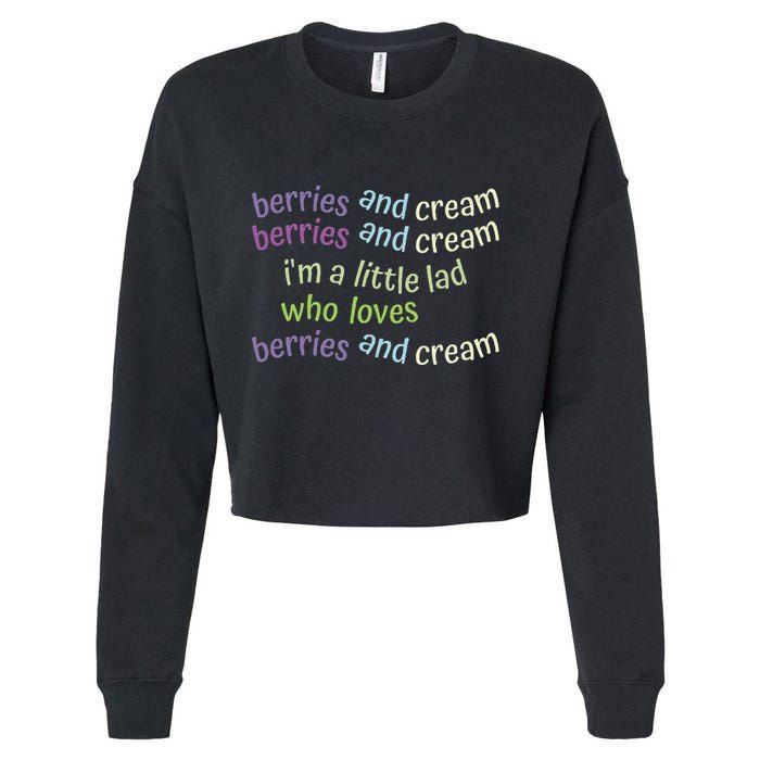 Berries And Cream Cropped Pullover Crew