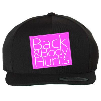 Back & Body Hurts Pink Logo Wool Snapback Cap