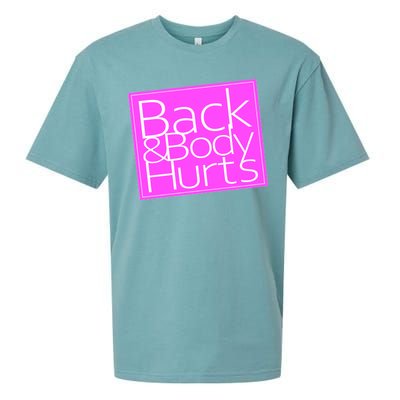 Back & Body Hurts Pink Logo Sueded Cloud Jersey T-Shirt