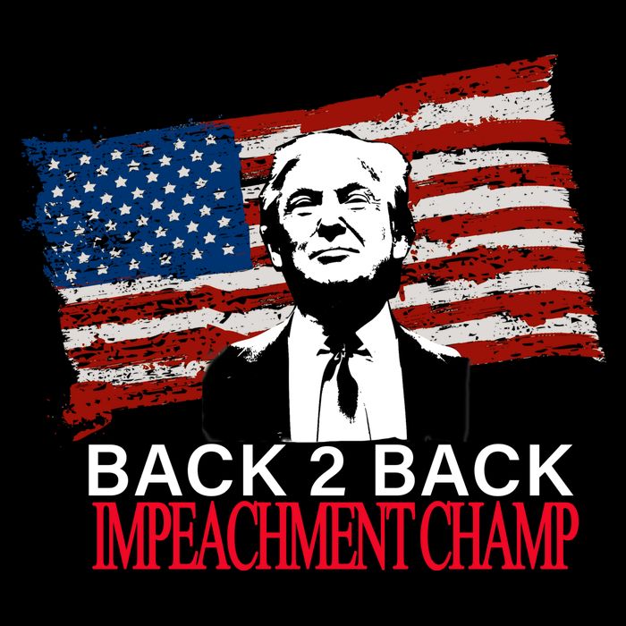 Back 2 Back Impeachment Champ Toddler Sweatshirt