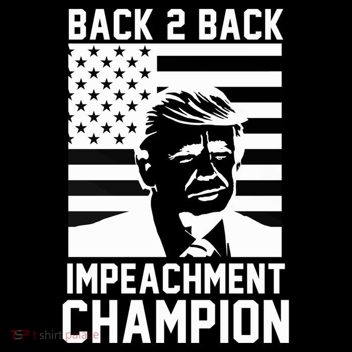 Back 2 Back Impeachment Champion Stripe Pom Pom Beanie