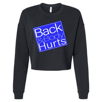 Back and Body Hurts Blue Logo Cropped Pullover Crew