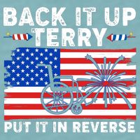 Back It Up Terry Put It In Reverse Funny Fireworks Sueded Cloud Jersey T-Shirt