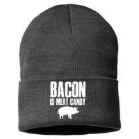 Bacon Is Meat Candy Sustainable Knit Beanie