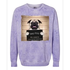 Bad Dog Funny Pug Prison Mug Shot Colorblast Crewneck Sweatshirt