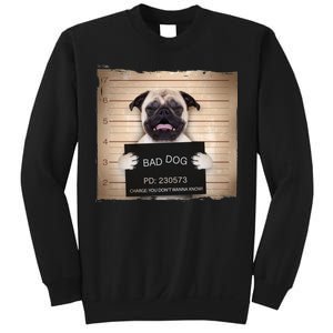 Bad Dog Funny Pug Prison Mug Shot Sweatshirt